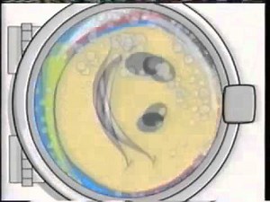 Face the Washing Machine (Fast)