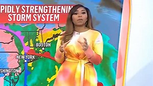Today fans go wild over Al's 'shining' new replacement meteorologist