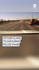 4.4M views · 88K reactions | TO THE RESCUE: A man found and freed a struggling seal with commercial fishing line wrapped around its neck on the beach. The fortunate seal happily bounded back toward the ocean. https://abcn.ws/2KycM9I | ABC News | Facebook