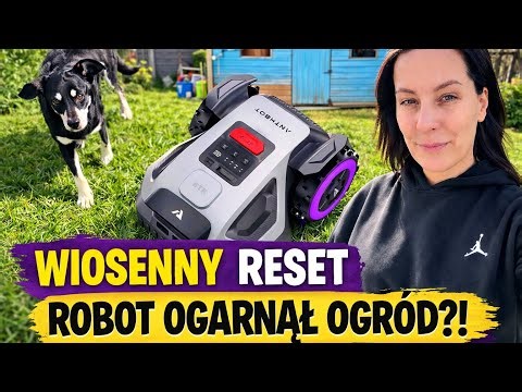 WIOSENNY RESET OGRODU 🌱 TEST ROBOTA ANTHBOT M9 + MALOWANIE SZOP (nieudane?)