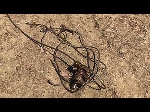 John Deere 440C Log Skidder