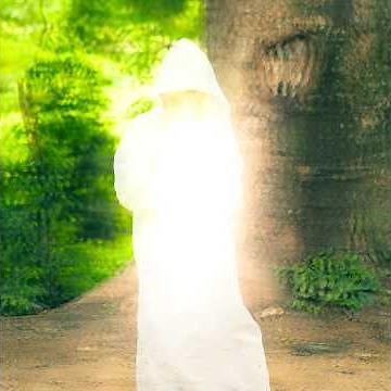 Ángel lo libro Nadie toca a un siervo de Dios