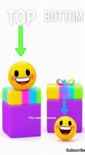 Learn Opposites for Toddlers 📦 | Top vs Bottom! #earlylearning #toddlerlearning