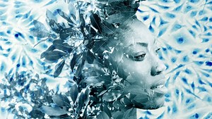 18 reactions | “Henrietta’s HeLa cell line forms the basis of the most important medical research and breakthroughs across the last 70 years, from Cancer and HIV to COVID, we owe our lives to her. Denied her place in history, now is the time to bring Henrietta’s epic legacy to life on stage.” - Family Tree Director, Matthew Xia. Family Tree  Fri 10 - Sat 18 Mar | Belgrade Theatre, Coventry | Facebook