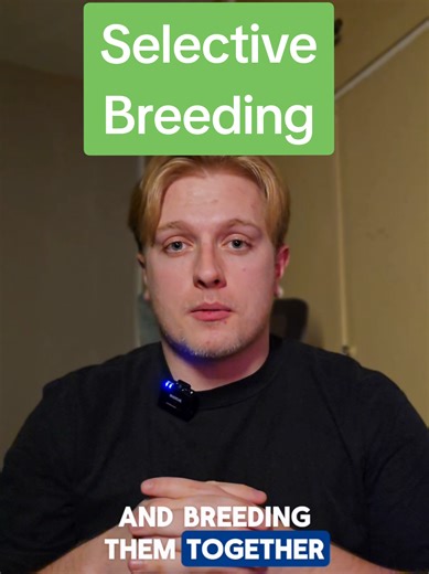GCSE Biology: Understanding Selective Breeding