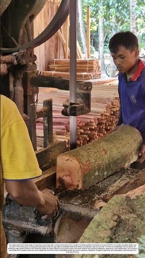 Precision Wood Cutting: How a Vertical Band Saw Converts Logs into Timber Blocks