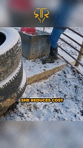 68K views · 2.5K reactions | Meet the Ranch’s Most Profitable Dairy Cow! #femalerancher #solopreneur #solofemalerancher #milkingcow #viral #trending #femalerancher #cattle #ruralliving #countryliving #womeninbusiness #lifeinthewest #trinityvandenacre #rancherlife #montana #northcentralmontana | Life in the West | Facebook