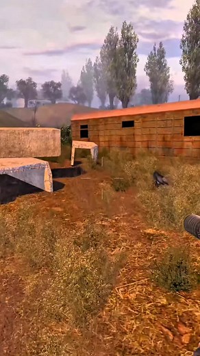 #stalker #chernobyl #pripyat