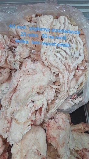 AŞYR 🥩 (@asyr_003)’s videos with orijinal ses - AŞYR 🥩