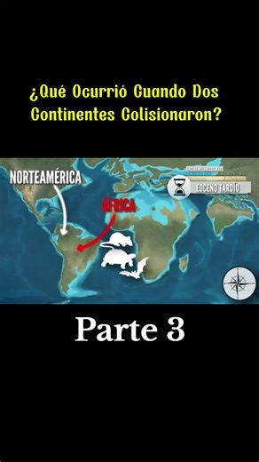 Exploring the Wild World of Animals: Part 3