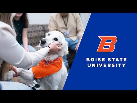 Social Work Degree Online: Affordable, Accessible and Accredited