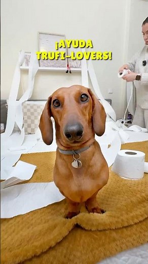 I'm being unjustly accused! 😰😩