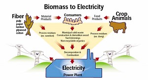 Biomass as Energy