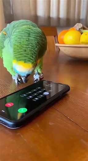 Hilarious Prank Call to a Construction Store