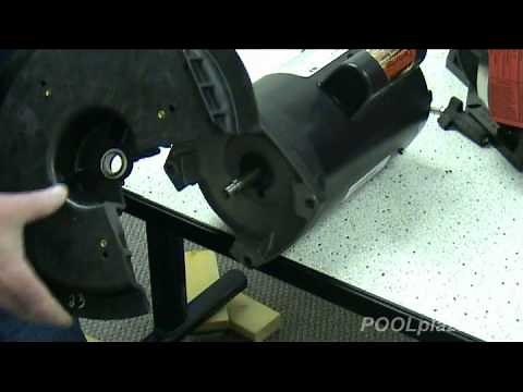 HowTo - Repair a Pentair Challenger Pump - poolplaza.com