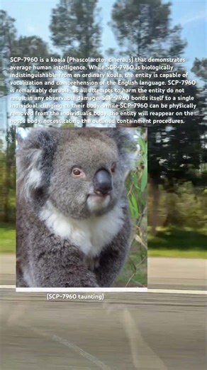 Random SCP of the day #scpfoundation