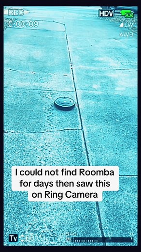 Roomba Finds Freedom: A Fun Escape Adventure