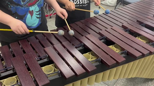 #instruments #instrument #musicalinstruments #musicalinstrument