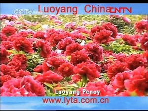 cctv news《整点新闻》OP+ED+广告+天气预报 2012-1-12