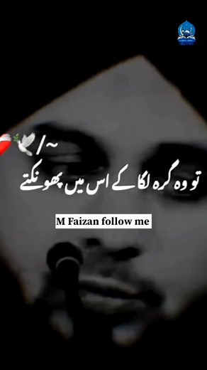 166K views · 26K reactions | ‎‎‎‎‎‎█▓▒F░O░L░L░O░W▒▓█ ┊┊┊▕▔╲▂▂▂╱▔▏...