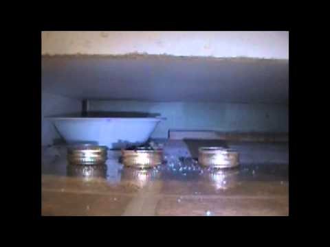 TIME LAPSE Homemade Ant killer borax and sugar