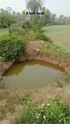 26 January 2026 kheti badi 🌾#new #kheti #badi #trending #short #shorts #video