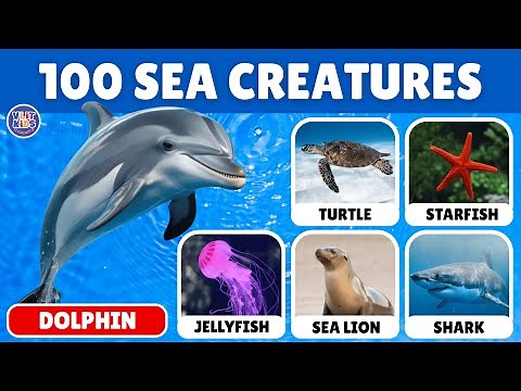 100 Sea Creature Names for Kids & Toddlers | English Vocabulary | Learn Ocean Animals & Marine Life!