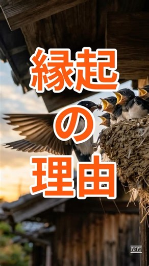 【幸せ】ツバメが来る家が縁起いい理由#鳥#生物#ツバメ