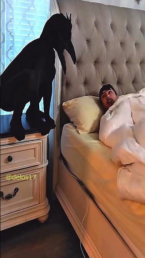 Best Trends Laughs Gags Funny Prank fail. Bromas Divertido Risas Chistes. Lachen 000140 #shorts