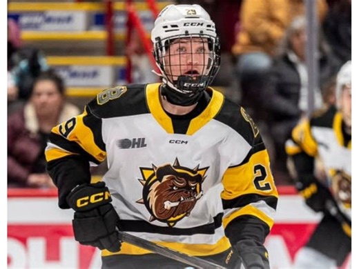 Brantford Bulldogs unbeaten to begin pre-season