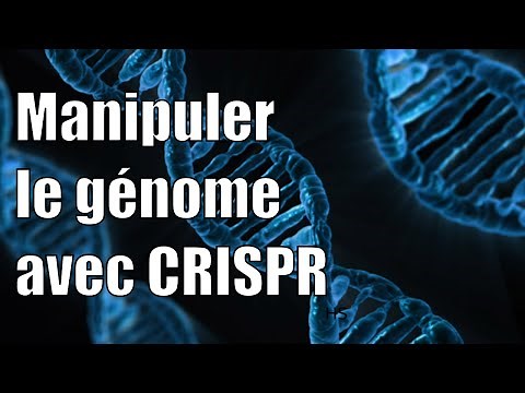 Modifier le génome avec CRISPR