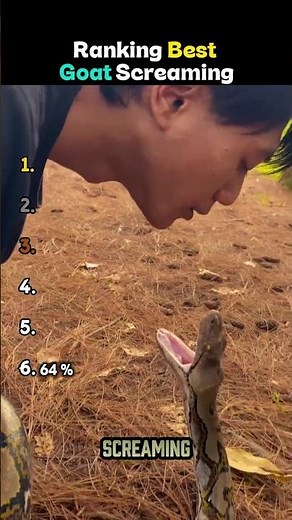 Ranking Best Goat Screaming 😭