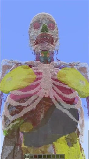 MCNP(Monte Carlo N-Paricle) computational phantom data implementrd in Minecraft