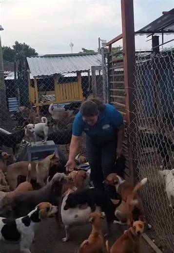 Si alguien te hiciera una transferencia por equivocación e inmediatamente te avisan qué fue una confusión por semejanza en los nombres y ese dinero era para una labor social para pagar la esterilizada de una perrita de situación de calle ¿Lo regresarías? Yo hace semanas recibí un envío de creo $650 pesos e inmediatamente me manda mensaje una persona señora Nena me equivoque quería hacer un pagó y por error se los envié a usted, le dije no se preocupe mándame a dónde se los reenvío y me manda la 