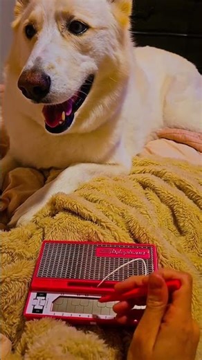 stylophone day 1: MGMT kids