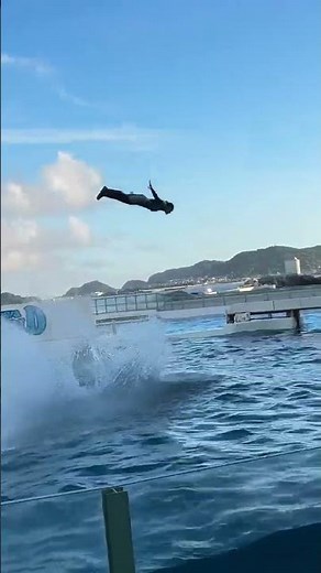 Jessika and dolfin Love but 💔😭jessica orca attack🥺#shorts #trending #jessica #dolfiattack