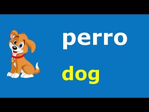 Animals in Spanish and Pictures