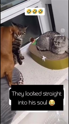 Okay, don’t mind while I go hide in my corner…🤷🏾‍♂️