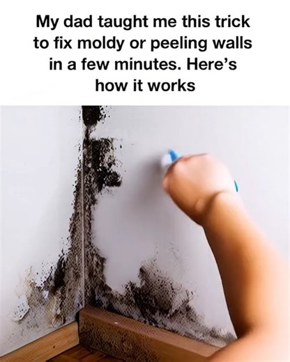 My dad taught me this trick to fix moldy or peeling walls in a few minutes | Heaven Soul