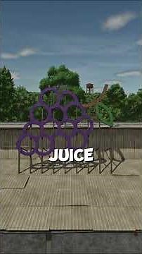 Grapes in FS25 | Are They Finally Worth It? Patch 1.5