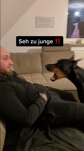 DISKUSSION MIT DOBERMANN Reav‼️