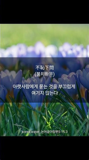 배움의 태도] 불치하문(不恥下問)/ 자신보다 학식이나 지위가 낮은 사람에게 묻는 것을 부끄러워하지 않는다 #명언 #공감글귀