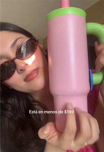 Termo económico: cómo elegir uno por menos de $150