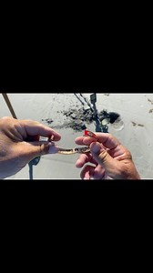 1.6K views · 427 reactions | I found so much awesome stuff #metaldetecting #beach #gold #digging #crazy #sand #hurricane | Joe Digger | Facebook