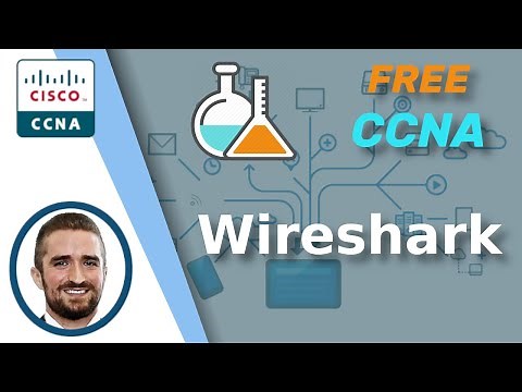 Free CCNA | Wireshark Demo (TCP/UDP) | Day 30 Lab | CCNA 200-301 Complete Course