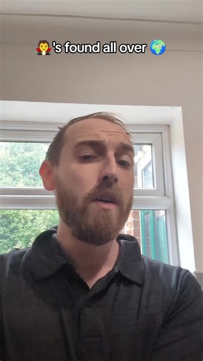 The Pyramid Experiments on TikTok