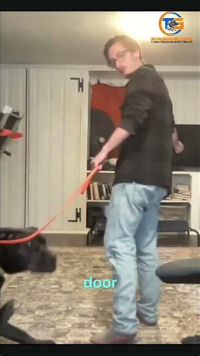 Master Doorway Manners: Train Your Dog to Stop Doorway Chaos! #shorts