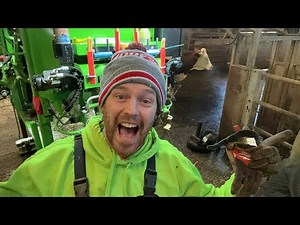 Live hoof trimming … right now