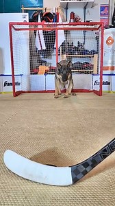 Benjamin Watson on Reels