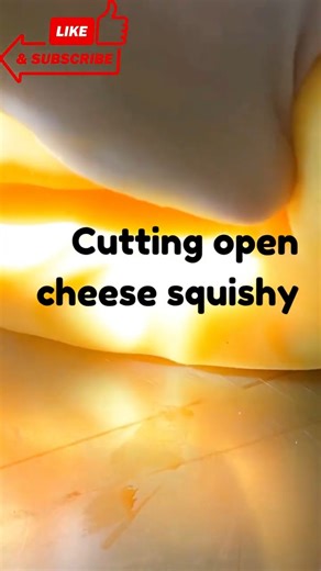 What’s Inside This Cheese Squishy?